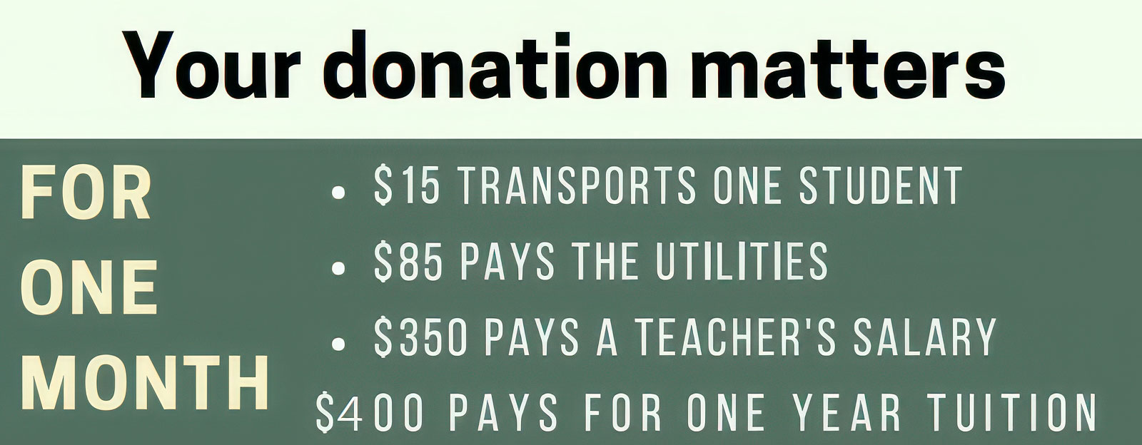 Graphic displays why your donation matters.